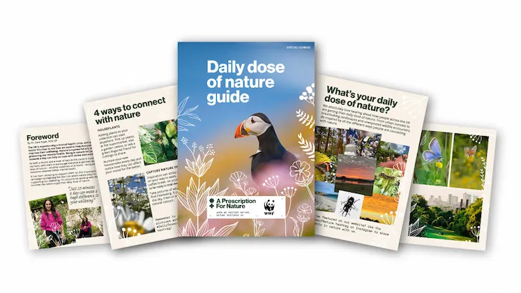 Free WWF Nature Pack: Daily 20‑Min Outdoor Boost + Tea & Origami!