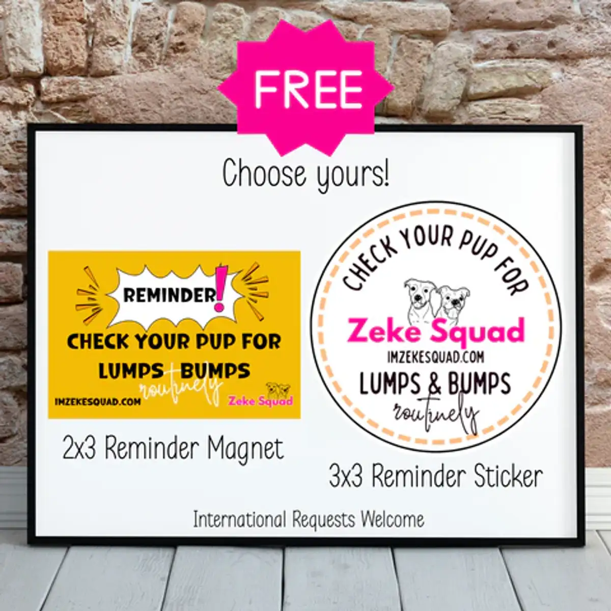 Free Zeke Squad Magnet: 1 Amazing Lumps & Bumps Reminder