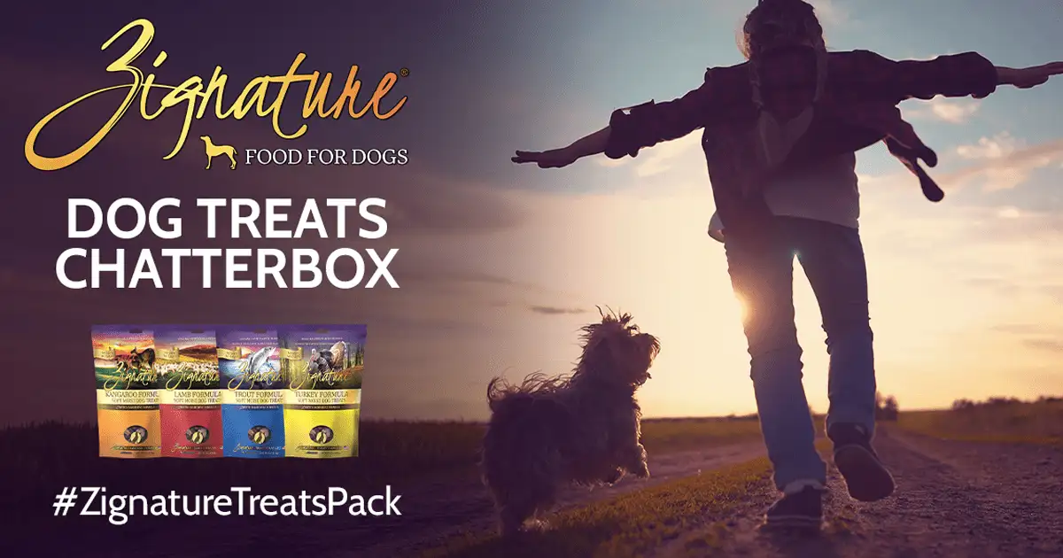 Free Zignature Dog Treats: 300 to Snag This Deal!