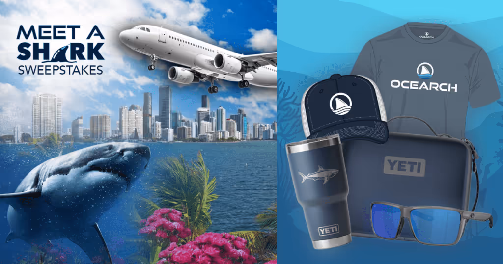 Shark Sweepstakes: Win a Free Trip for 4 to Florida!