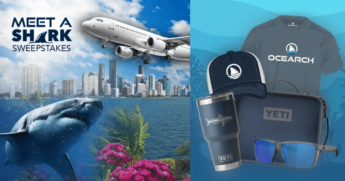 Shark Sweepstakes: Win a Free Trip for 4 to Florida!
