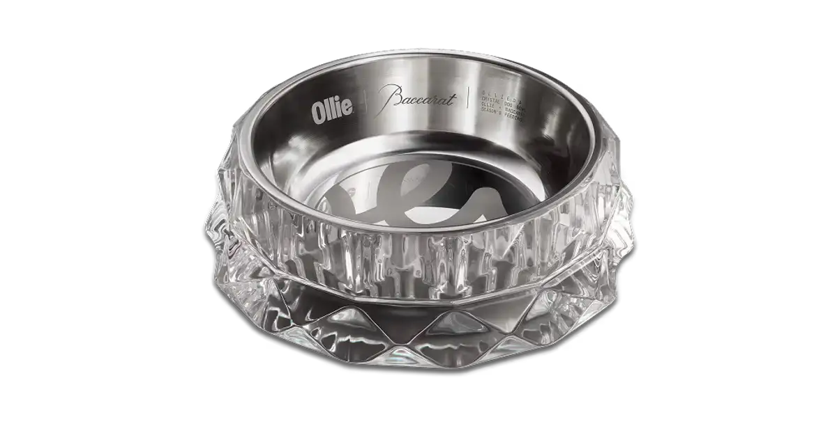 Win $1,700 Baccarat Crystal Louxor Pet Bowls - Ollie Sweep (10)