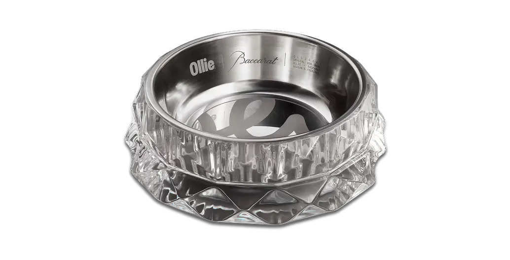 Win $1,700 Baccarat Crystal Louxor Pet Bowls - Ollie Sweep (10)