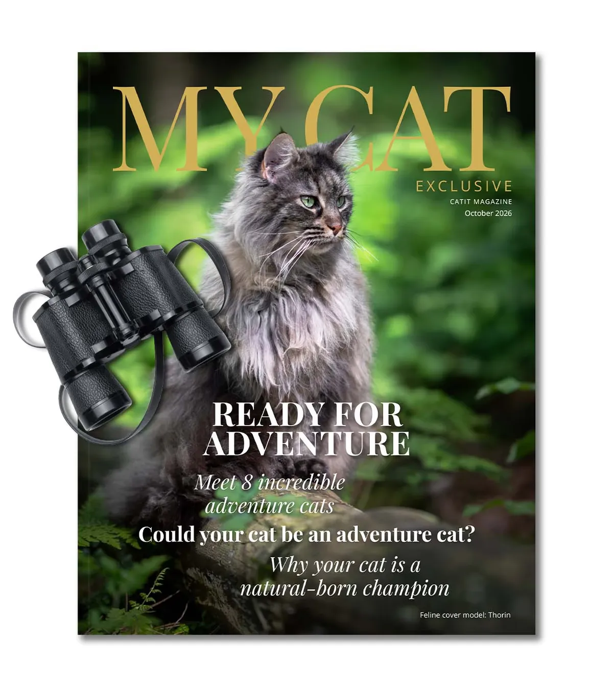 Win a Treat Bundle — Catit My Cat Exclusive Sweepstakes