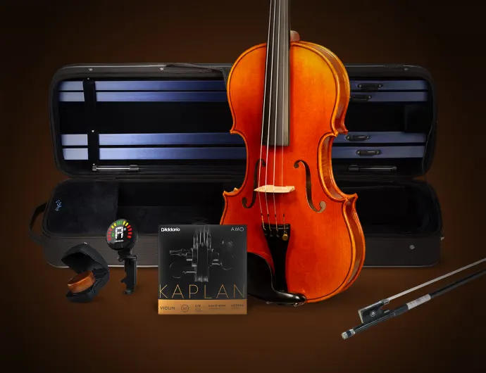 Win D’Addario Howard Core Violin Setup: Kit for 4/4 Players